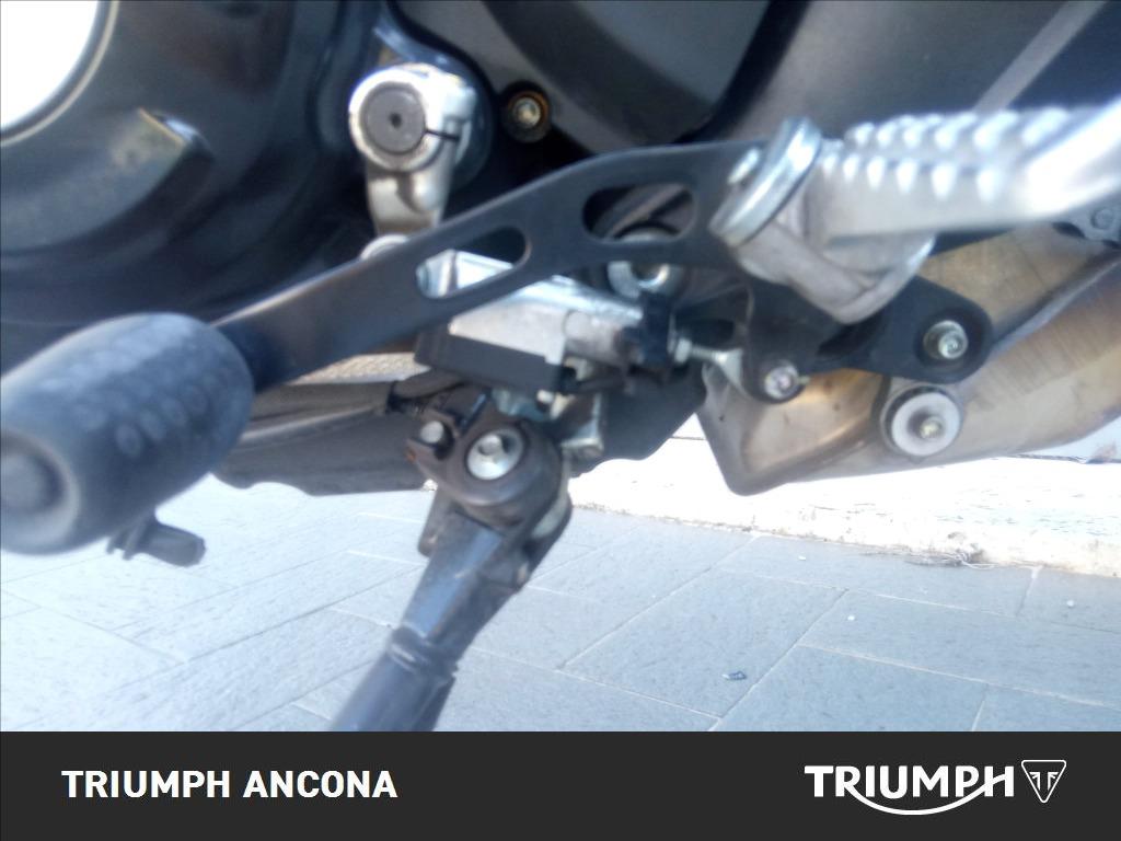 DUCATI Scrambler 800 Icon