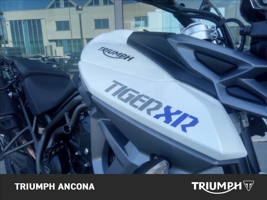 TRIUMPH Tiger 800 XR Abs