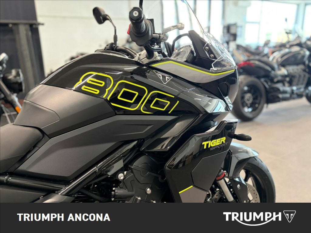 TRIUMPH Tiger Sport 800 Abs