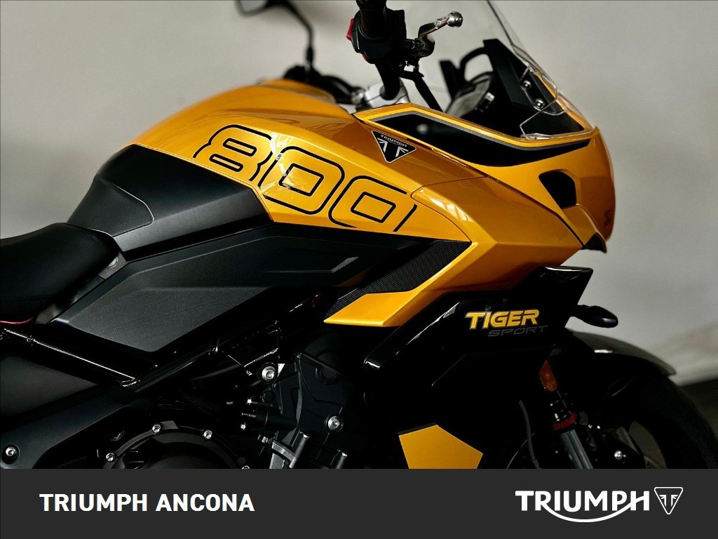 TRIUMPH Tiger Sport 800 Abs