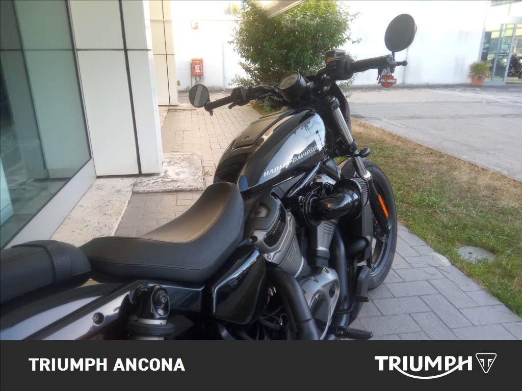 HARLEY-DAVIDSON 975 Nightster Color
