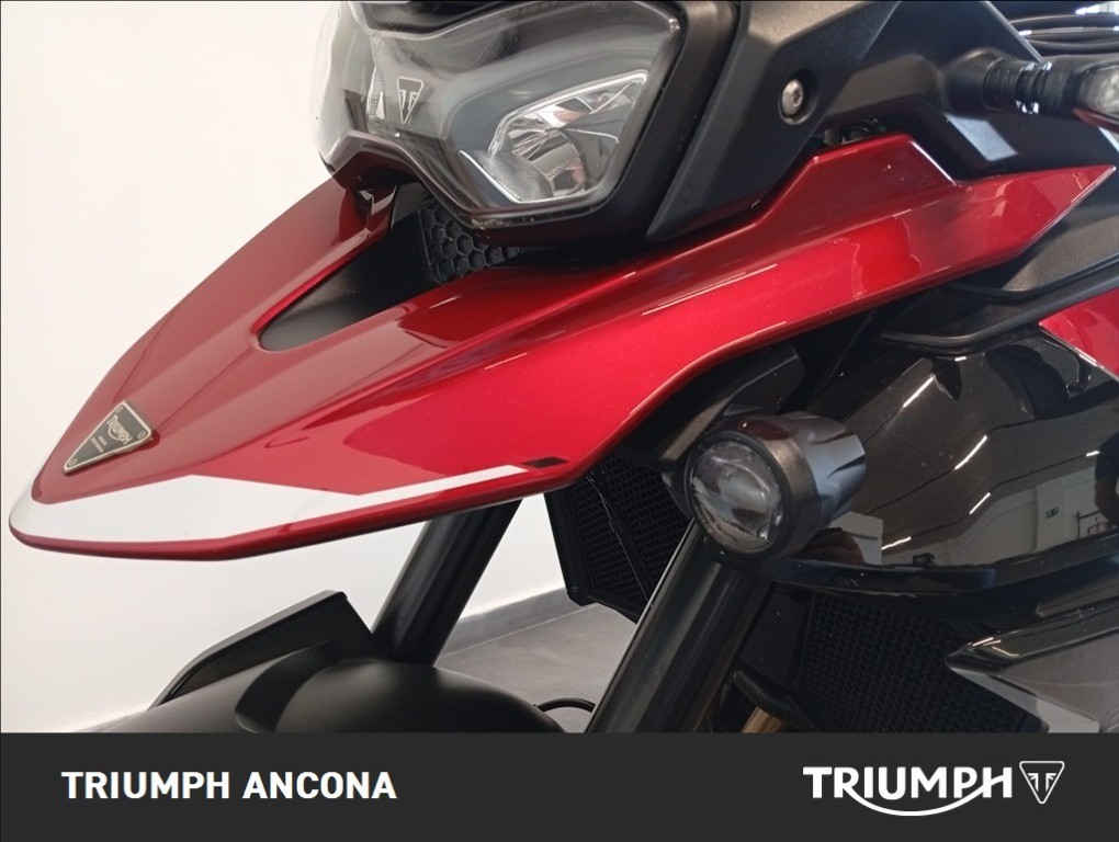TRIUMPH Tiger 900 GT Abs